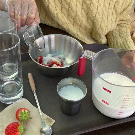 Strawberry Picking Dessert Making Tour