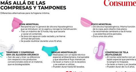 bibliotecario Aeródromo Sacrificio cuanto tiempo dura un tampon puesto