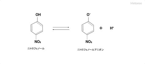 【2024年】ニトロフェノール メーカー8社一覧 Metoree