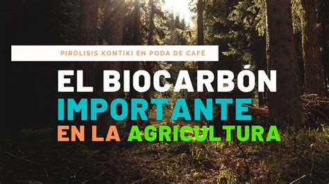 Importancia Del Biocarb N En La Agricultura Youtube