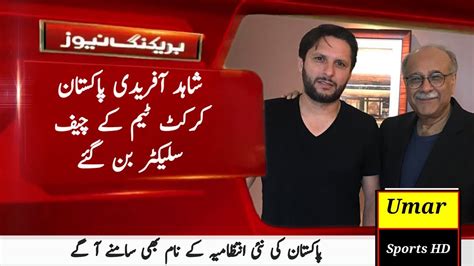 Shahid Afridi Chief Selector Pakistan Cricket Team Today Pcb