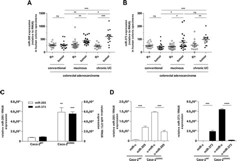 Expression Levels Of Mir 205 And Mir 373 In Human Crc Patient Samples Download Scientific