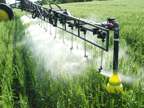 Fungicide Application Decision In Wheat Field Crop News