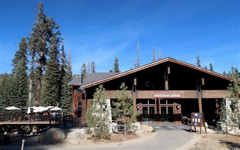 Sequoia National Park Tout Pour Pr Parer Votre S Jour En Californie