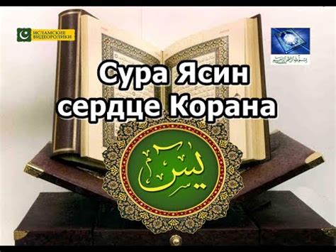 Сура Ясин это сердце Корана | Чтение на арабском. - YouTube
