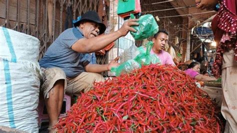 Harga Cabai Merah Kembali Naik Kini Capai Rp Ribu Per Kilogram