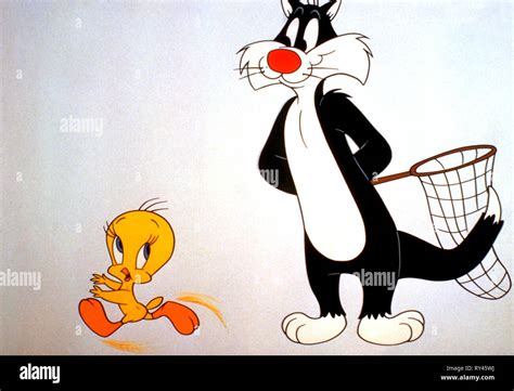 TWEETY,SYLVESTER, THE SYLVESTER and TWEETY SHOW, 1976 Stock Photo - Alamy