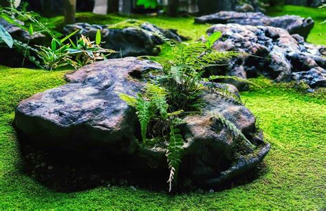 22 Ideas For Landscaping With Moss Rocks [inspirational Picture List]