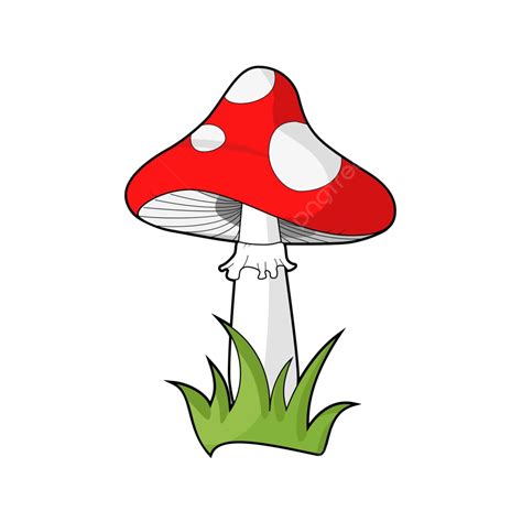 Poisonous Red Mushroom Clipart Isolated On White Background Toadstool