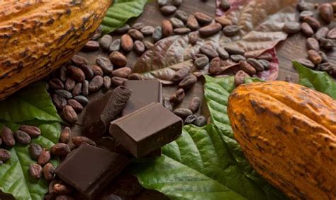 D A Mundial Del Cacao Todo Lo Que Debes Saber De Este Irresistible