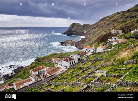 Terraced vineyards at the coastal town of Maia. Santa Maria, Azores islands, Portugal Stock ...