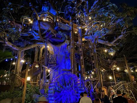 Photos / Video: Adventureland Treehouse Walkthrough at Night ...