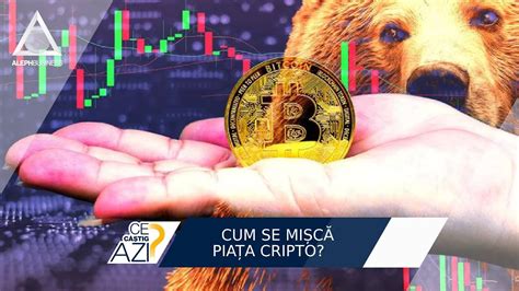 Se Plimb Ursul N Pia A Cripto Youtube