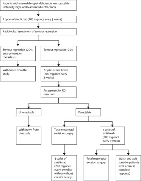 Neoadjuvant Pd Blockade With Sintilimab In Mismatch Repair Deficient