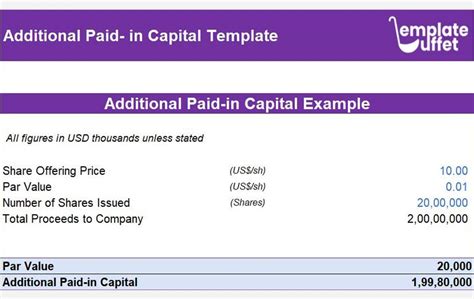 Additional Paid In Capital Excel Template Easily Track Your Stock Capital