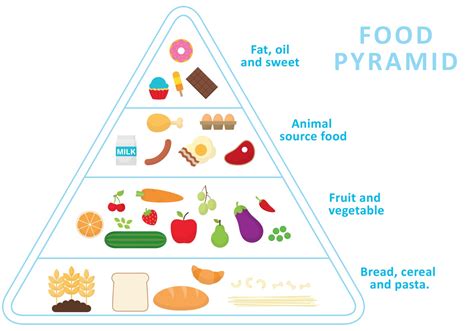 Food Pyramid Vector - Download Free Vector Art, Stock Graphics & Images