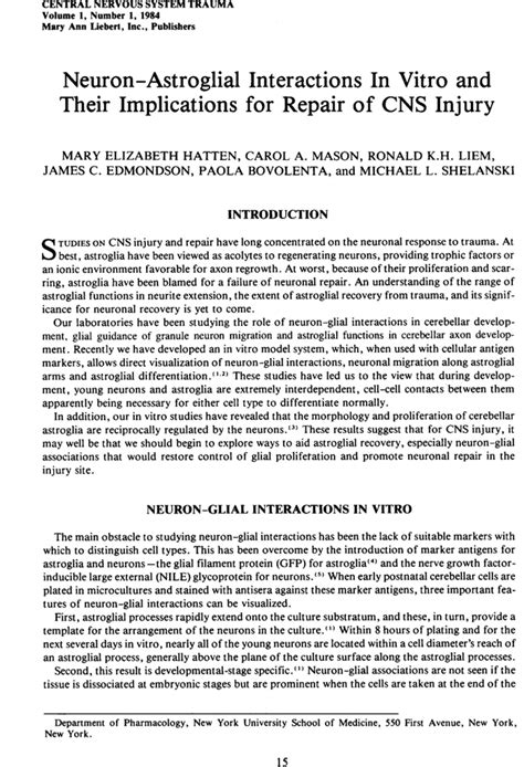 Neuronastroglial Interactions In Vitro And Their Implications For