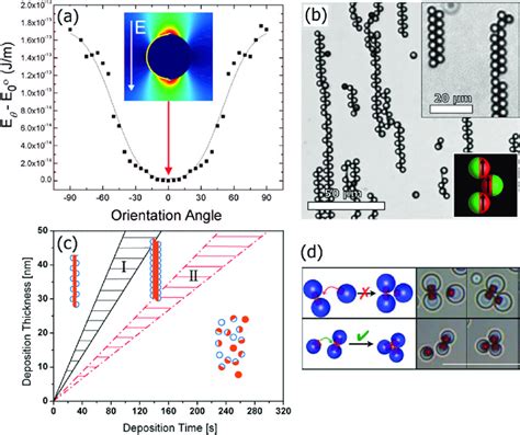 Examples Of The Directed Assembly Of Janus And Patchy Particles A