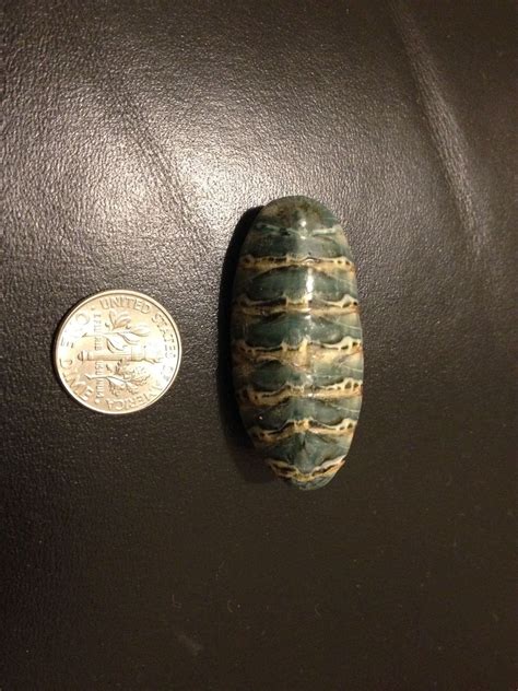 I was told this might be a roach egg from the Amazon. I bought it in ...