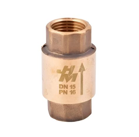 Brass Vertical Check Valve Valve Size 25 Mm At Rs 250 Piece In