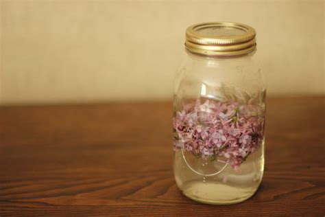 Lilac Liqueur • The Farmhouse Project