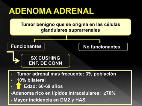 Incidentalomas De La Glandula Suprarenal Ppt