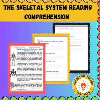 The Skeletal System Reading Comprehension By Opportunities For Teachers