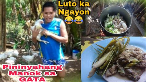 Cooking Ginataang Manok Na May Pinya Luto Sa Kahoy Unang Tikim Sa Aking