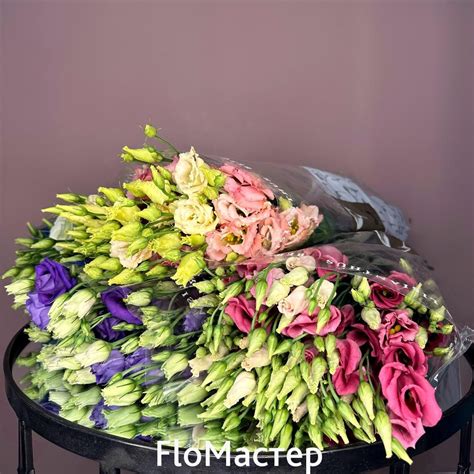 Эустома в пачке: по цене 3 990 руб. в интернет-магазине FLOмастер ...