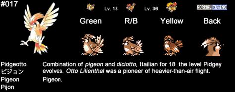 Pokemon Pidgey Evolution Chart