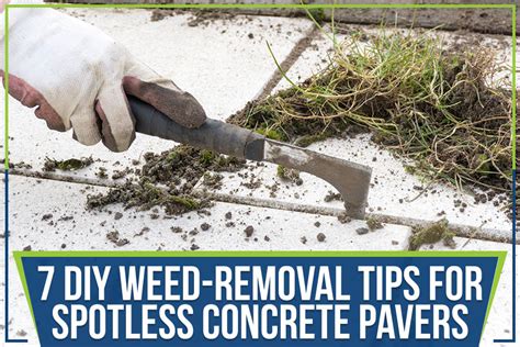 7 Diy Weed Removal Tips For Spotless Concrete Pavers Paradise