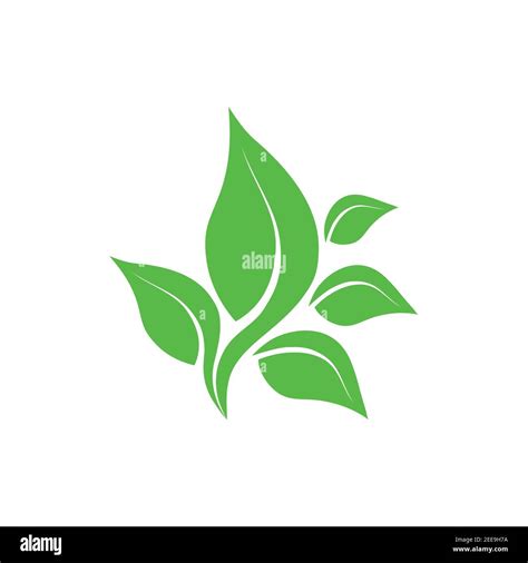 Eco Icon Green Leaf Vector Illustration Isolated Green Leaf Sign Stock