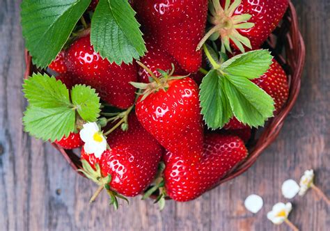 Fondos De Pantalla Fresas Follaje Alimentos Descargar Imagenes