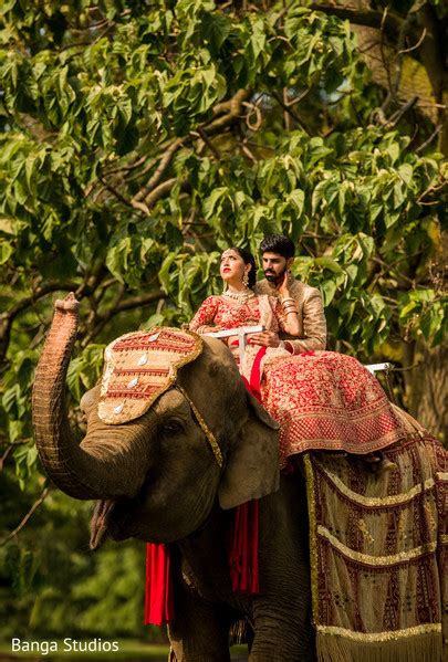 Traditional Indian Wedding Elephant