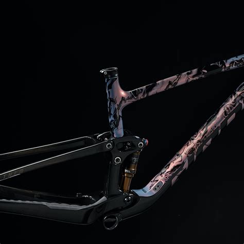 Giant Bicycles Anthem Advanced Pro Er Frame Set