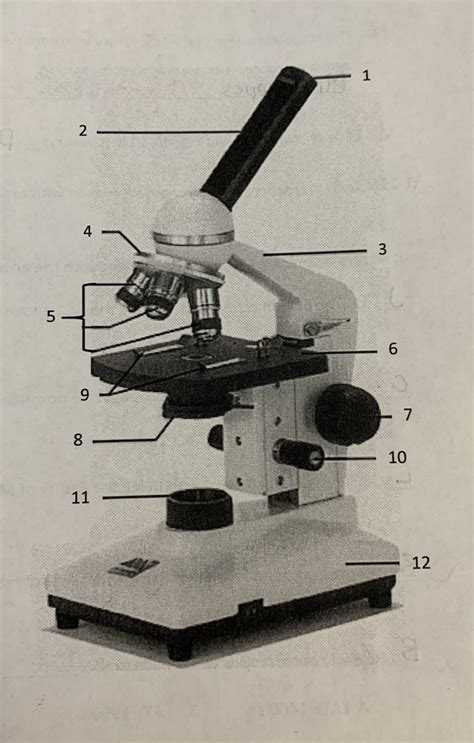 Biology 9 Microscopes Diagram Diagram Quizlet