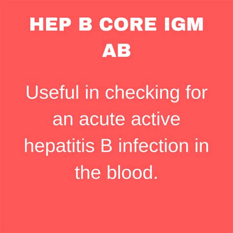 Hepatitis B Core Antibody IgM