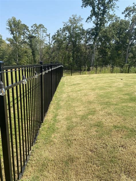 Looking for suggestions for drainage easement along fence : r/landscaping