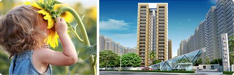 Gulshan Ikebana is a residential project by Gulshan homz at sector 143 ...