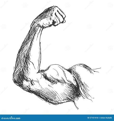 Hand Sketch Biceps Stock Vector - Image: 57101418