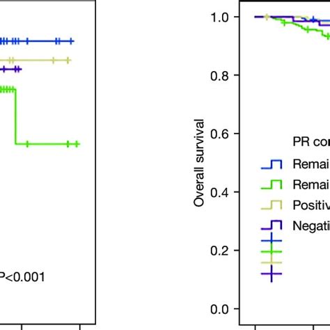 Disease Free Survival Dfs A And Overall Survival Os B Curves Download Scientific