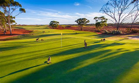 Sport And Recreation City Of Kalgoorlie Boulder