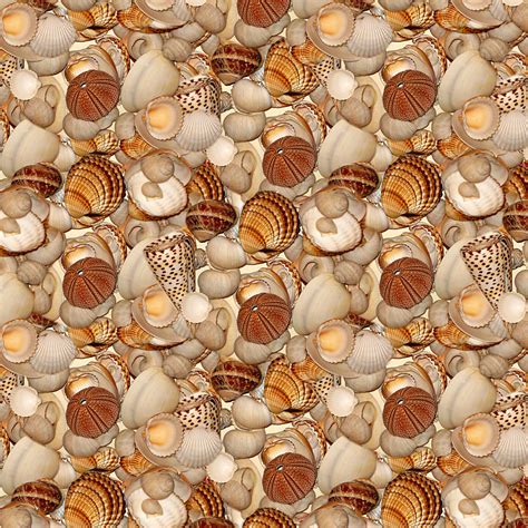 Seashells Pattern