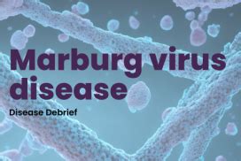 Marburg virus disease – National Collaborating Centre for Infectious ...