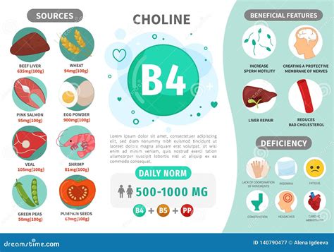 Infographics Vitamin B9. Vector Illustration | CartoonDealer.com #143404164