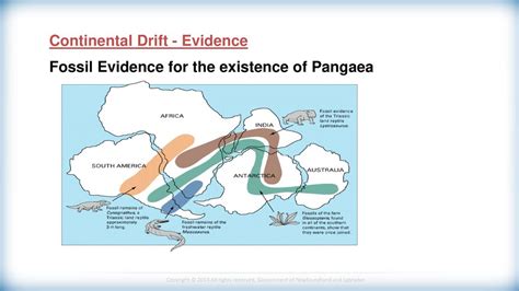 Drifting Continents Assignment Ppt Download