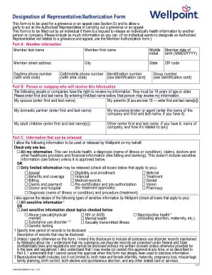 Fillable Online Instructions For Completingthe Designation Of