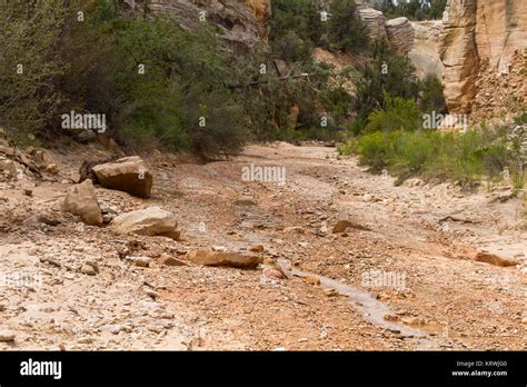 Willis Creek Slot Canyon 15 Stock Photo Alamy