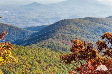 Georgia State Parks: our top 10 favorite hiking trails