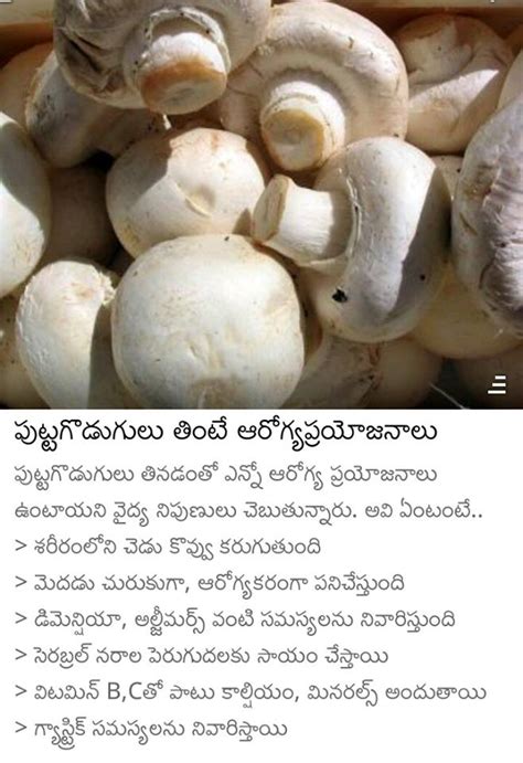 Chodavaramnet Puttagodugulu Thinte Arogya Prayojanalu Health